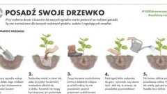  „sadziMY” ogólnopolska akcja sadzenia drzew. 