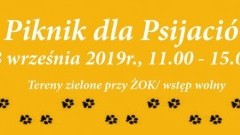 Piknik dla Psijaciół w Nowym Dworze Gdańskim