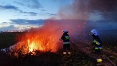 Przestańcie podpalać trawę! Świąteczne interwencje strażaków z powiatu malborskiego.