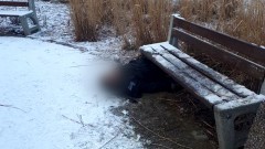 Malbork. Śmierć w parku na Osiedlu Południe. Sekcja zwłok wyjaśni przyczyny.