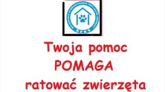 Tragiczna sytuacja Malborskiego Stowarzyszenia Przyjaciół Zwierząt REKS – potrzebna pomoc.