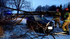Drzewo spadło na osobówkę – weekendowy raport malborskich służb&#8230;