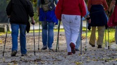 Malbork. Zajęcia Nordic Walking z instruktorem.