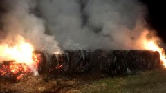 Pożary balotów słomy i uwięziony pies w rowie – tygodniowy raport malborskich służb mundurowych.