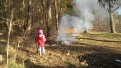 SPRZĄTANIE LASU TAK, PALENIE ŚMIECI NIEKONIECZNIE. POZYTYWNA AKCJA, ZE SŁABYM PUNKTEM - 12.05.2015