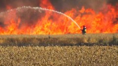 17 POŻARÓW, 18 MIEJSCOWYCH ZAGROŻEŃ, 2 ALARMY FAŁSZYWE. WEEKENDOWY RAPORT MALBORSKICH SŁUŻB MUNDUROWYCH - 10.08.2015