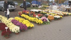 Po ile znicze i kwiaty  na Cmentarzu Komunalnym w Malborku? - 30.10.2015