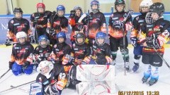 11 meczy rozegrali malborscy hokeiści w 4 kategoriach wiekowych w minionym tygodniu. 8 zawodników Klubu UKS Bombek SP3 uczestniczyło w meczach w kategorii żak młodszy i żak starszy w ramach eliminacji mistrzostw Polski w Toruniu reprezentując barwy PTH Koziołki Poznań - 05-06.12.2015