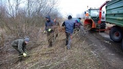 Park Krajobrazowy "Mierzeja Wiślana" Akcja oglawiania wierzb - 26.02.2016