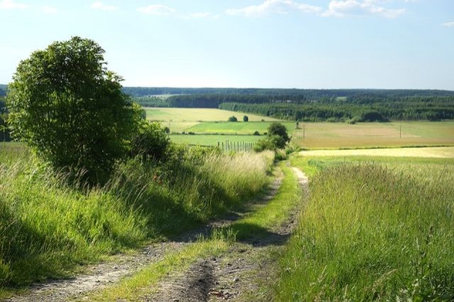 Sztutowo. Zapraszamy do udziału w IX edycji konkursu „Polska wieś&#8230;