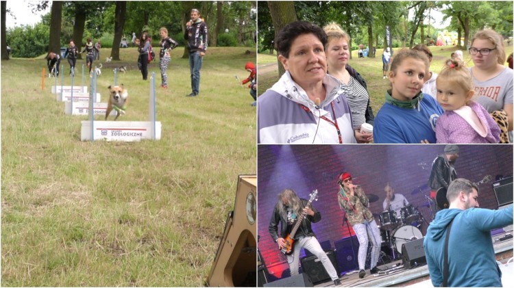 Piknik Charytatywny "Podaj Łapę" na Powitanie Lata w Dzierzgoniu –&#8230;