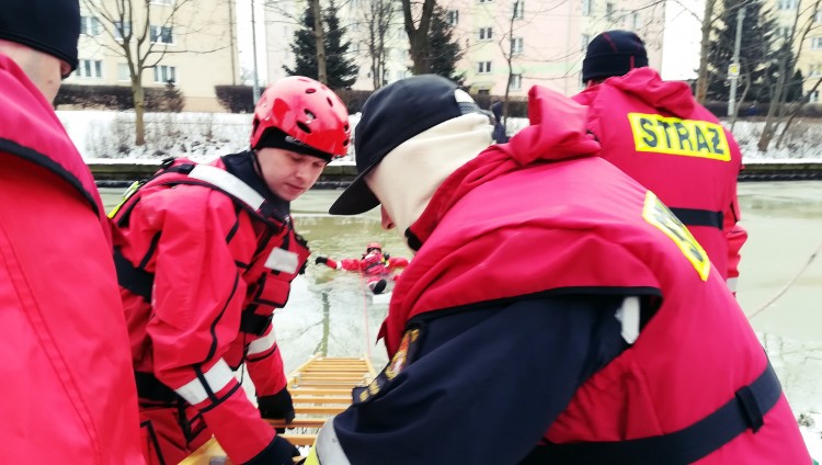 Ćwiczenia i pokazy z ratownictwa na lodzie. Strażacy z PSP w Nowym Dworze&#8230;