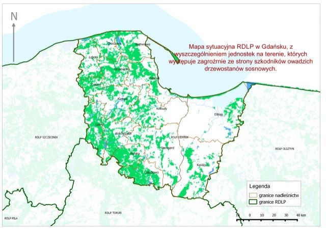 Nadleśnictwo Elbląg informuje o rozpoczęciu konsultacji społecznych