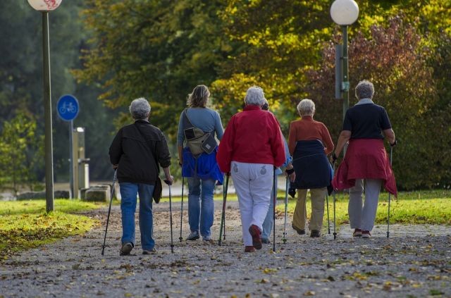 Malbork : Warsztaty NORDIC WALKING w ramach akcji „Spacer po zdrowie&#8230;