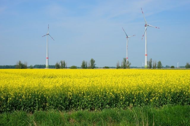 Komunikaty rolnicze o zagrożeniu upraw roślin w powiecie nowodworskim