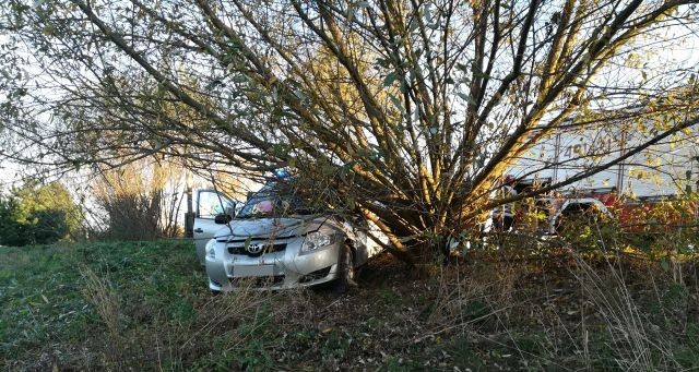 Jazowa: Samochód uderzył w drzewo - raport nowodworskich służb mundurowych