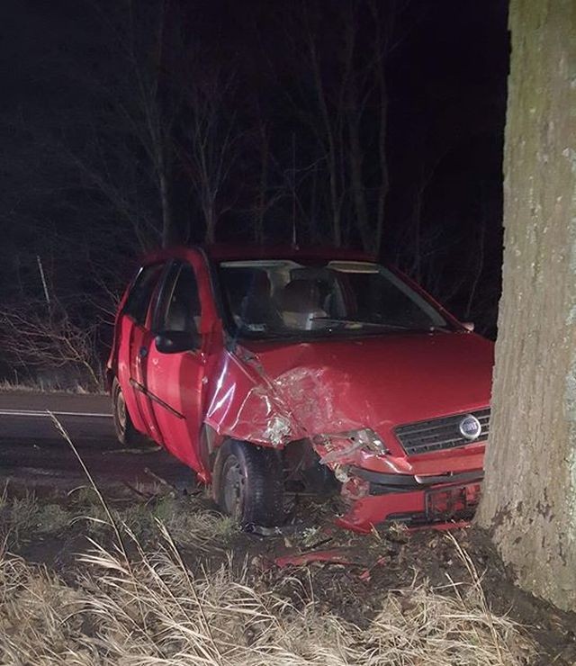 Samochód osobowy uderzył w drzewo. Wypadek w kierunku Pruszcza Gdańskiego