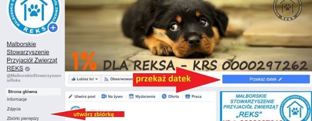 Malbork: Reksiaki proszą o wsparcie! Zobacz jak możesz pomóc.