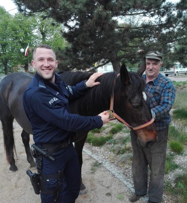 Nowy Dwór Gdański: Policjanci ujarzmili biegającego po terenie miasta&#8230;