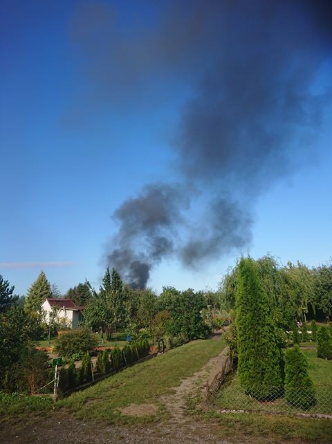 Pożar altanki na Zatorzu w Malborku