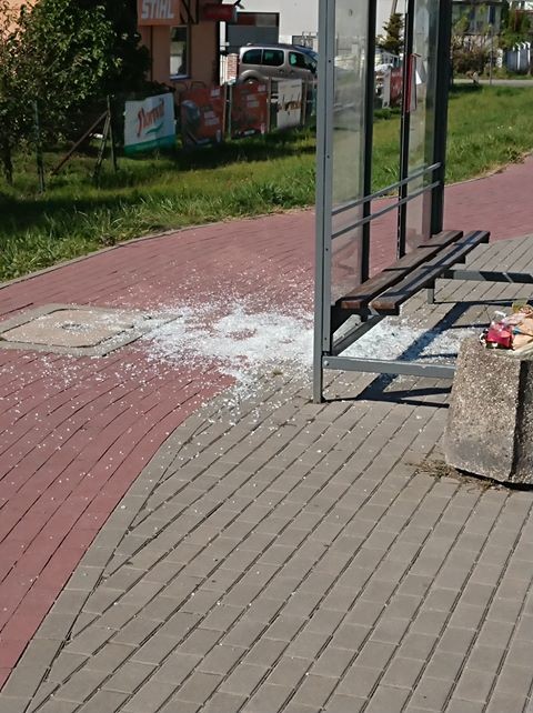 Malbork: Kto posprząta szkła? Czyli zbita szyba na przystanku autobusowym.