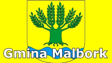 Ogłoszenie Wójta Gminy Malbork z dnia 24 czerwca 2020 r. w sprawie ustnego&#8230;