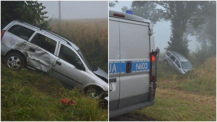 Pijany kierowca uderzył w drzewo – weekendowy raport malborskich służb&#8230;