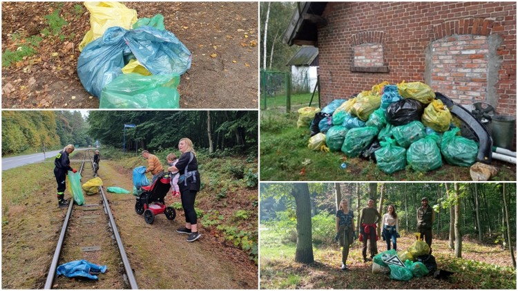 W ciągu kilku godzin nazbierano ponad 50 worków śmieci w lasach gminy&#8230;