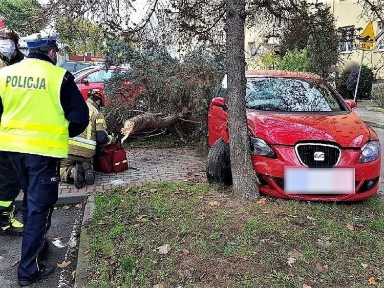 Tczew. Autem ściął drzewo, które spadło na przechodnia.