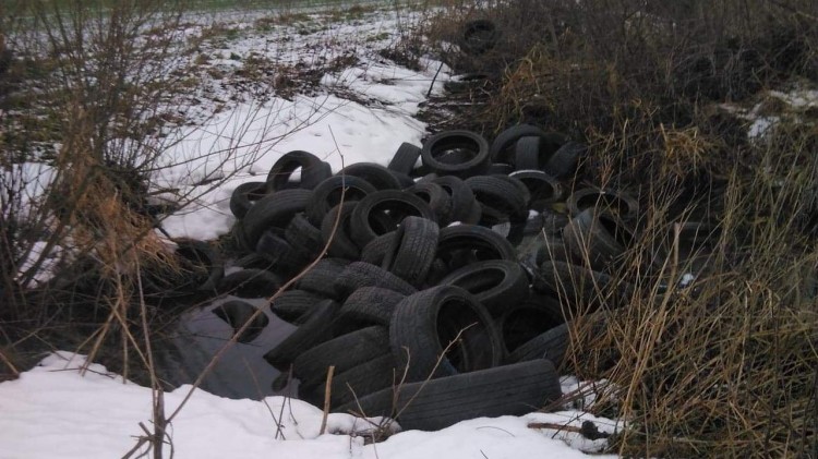 Gmina Stegna. Kto wyrzuca śmieci do rowów melioracyjnych?