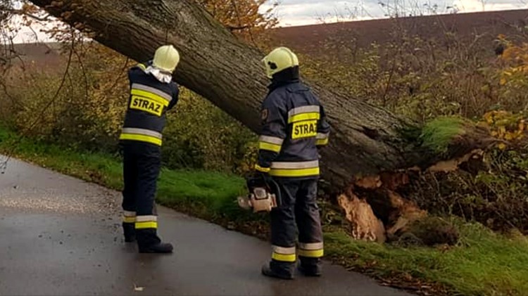 Sztum. Strażacy wyjeżdżali do kilku interwencji związanych z porywistym&#8230;