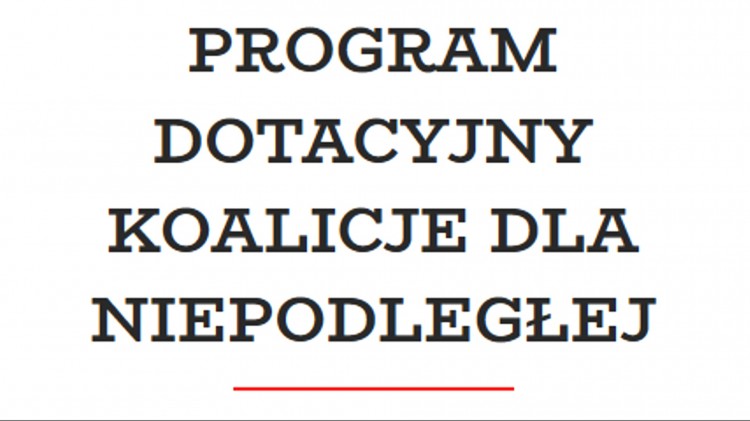 Malbork. Trwa nabór wniosków do programu dotacyjnego Koalicje dla Niepodległej.