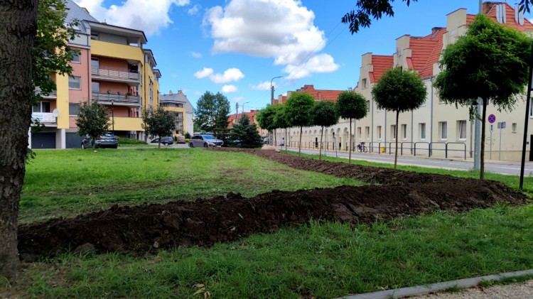 Malbork. Na Słowackiego pojawił się wał przeciwpowodziowy?