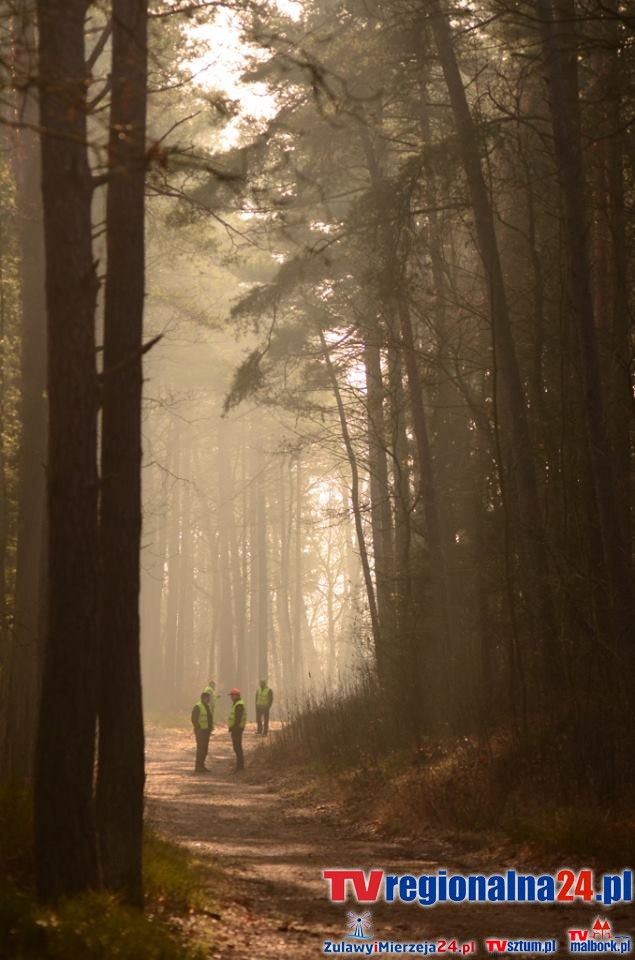 Mierzeja Wiślana. Zwierzyna w lesie policzona - 17.03.2016