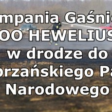 Kompania Gaśnicza z województwa pomorskiego wyruszyła na ratunek do…