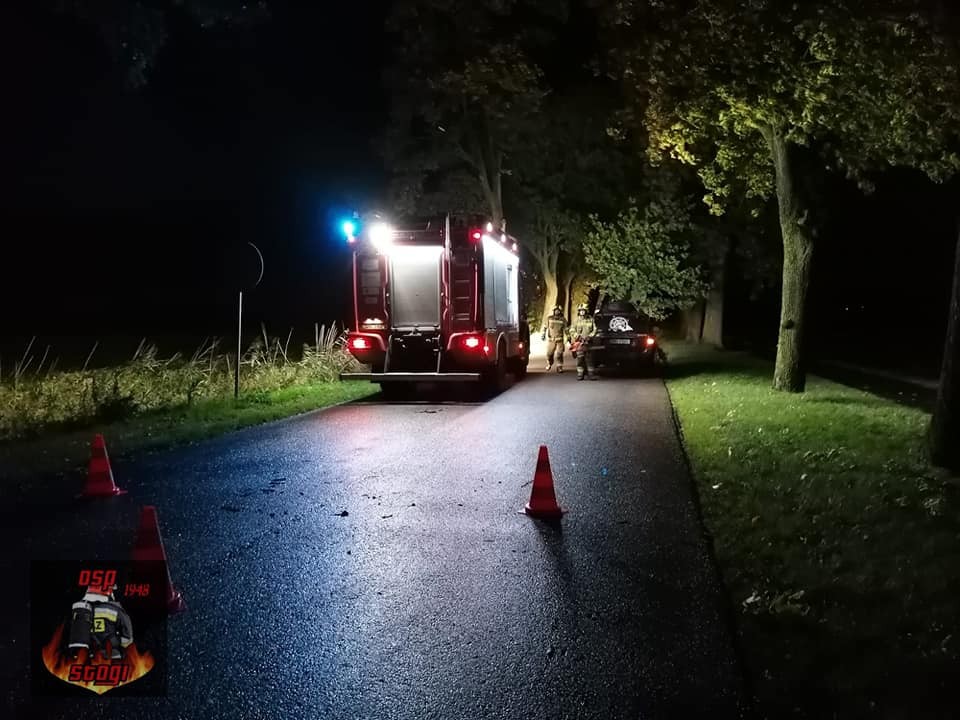 Powiat malborski. 14 interwencji strażaków do wiatrołomów.