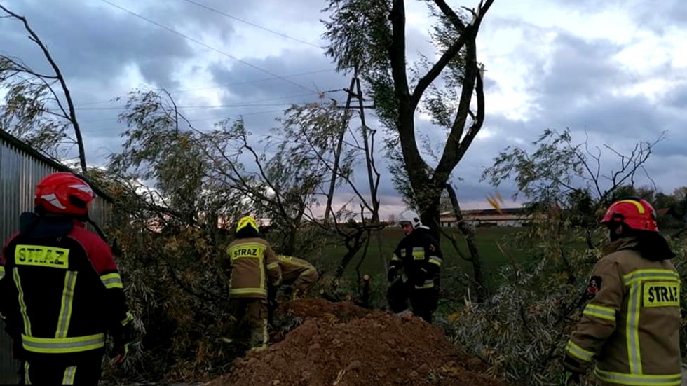 Malbork i Sztum. Strażacy zmagali się ze skutkami potężnej wichury.