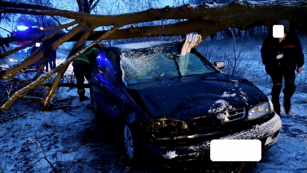 Drzewo spadło na osobówkę – weekendowy raport malborskich służb mundurowych.