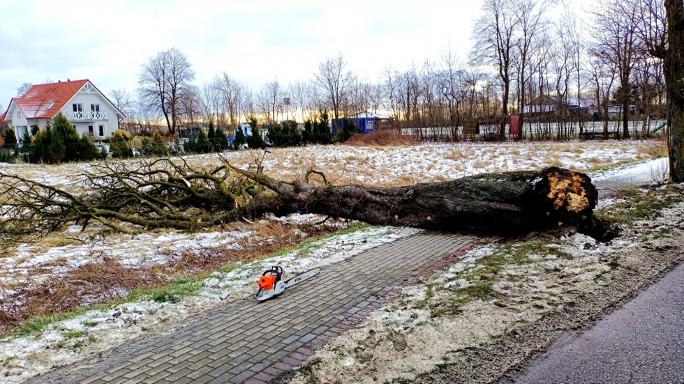 Nowy Dwór Gdański. Strażacy usuwają skutki porywistego wiatru.