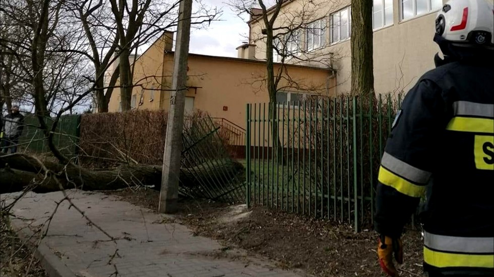 Ponad 50 interwencji w związku z silnym wiatrem w regionie – weekendowy raport malborskich służb mundurowych.