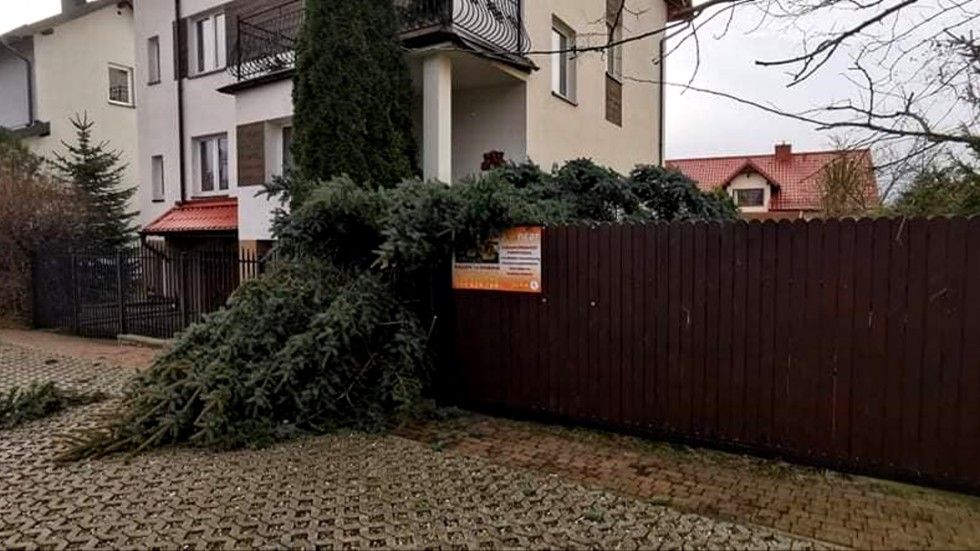Nowy Dwór Gdański. Strażacy usuwali skutki silnych wiatrów.