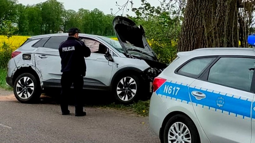 Lichnowy. Pijany kierowca sprawcą kolizji – jazdę zakończył na drzewie.