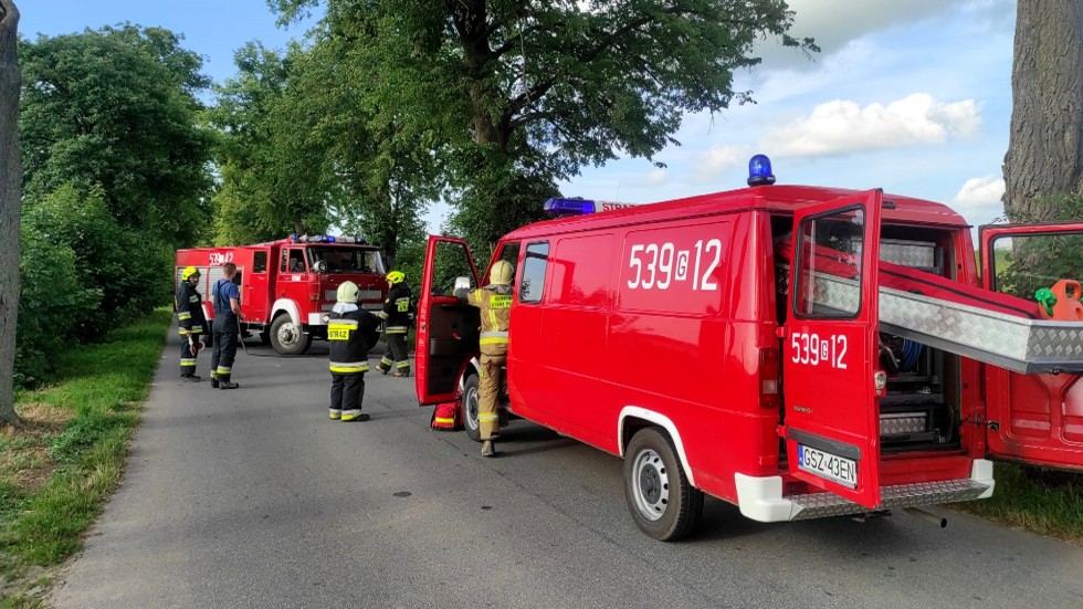 Powiat sztumski. Zasnął za kierownicą i uderzył w drzewo.