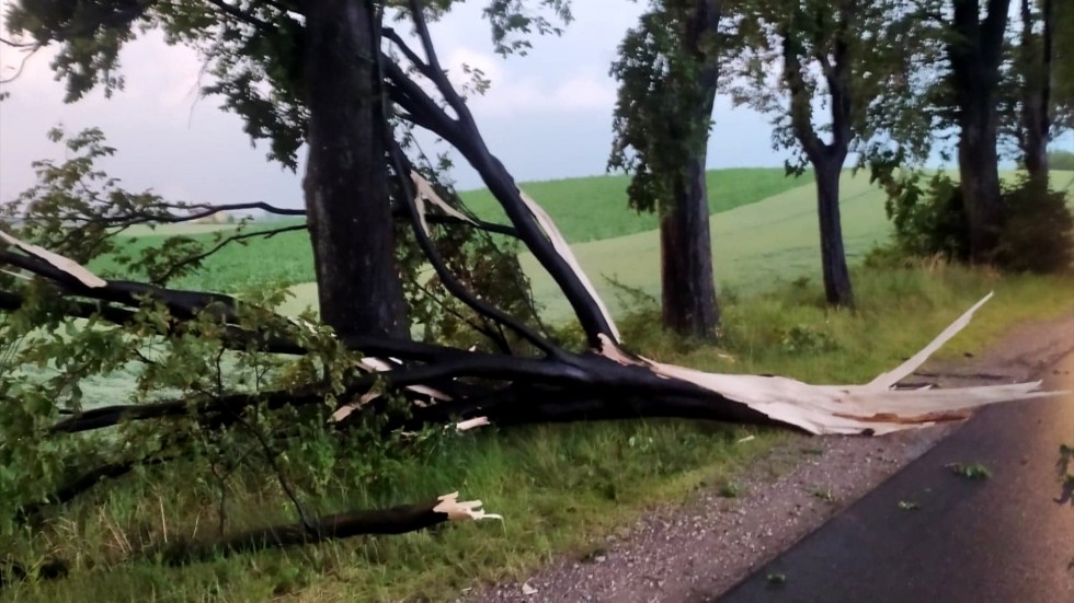 Strażacy walczyli ze skutkami nawałnicy – raport sztumskich służb mundurowych.