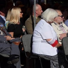 Malbork. Niech nasz szumi Młody Las – najnowsza wystawa Muzeum Miasta.