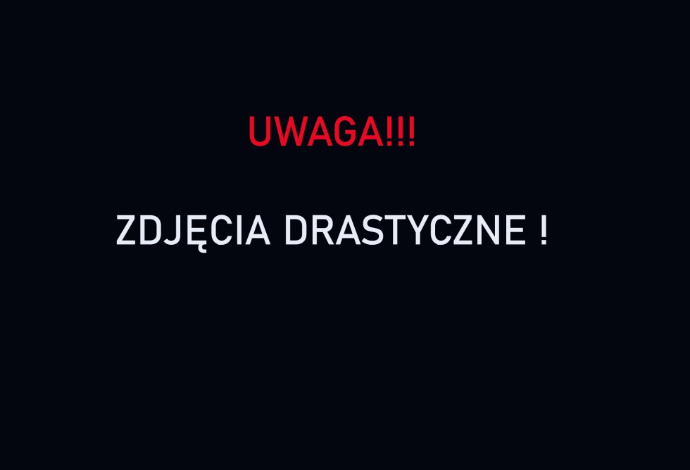 Gmina Stegna. Skrajnie zaniedbany i umierający pies na jednej z posesji – mężczyzna odpowie za znęcanie się nad zwierzęciem. Grozi mu do 5 lat więzienia.