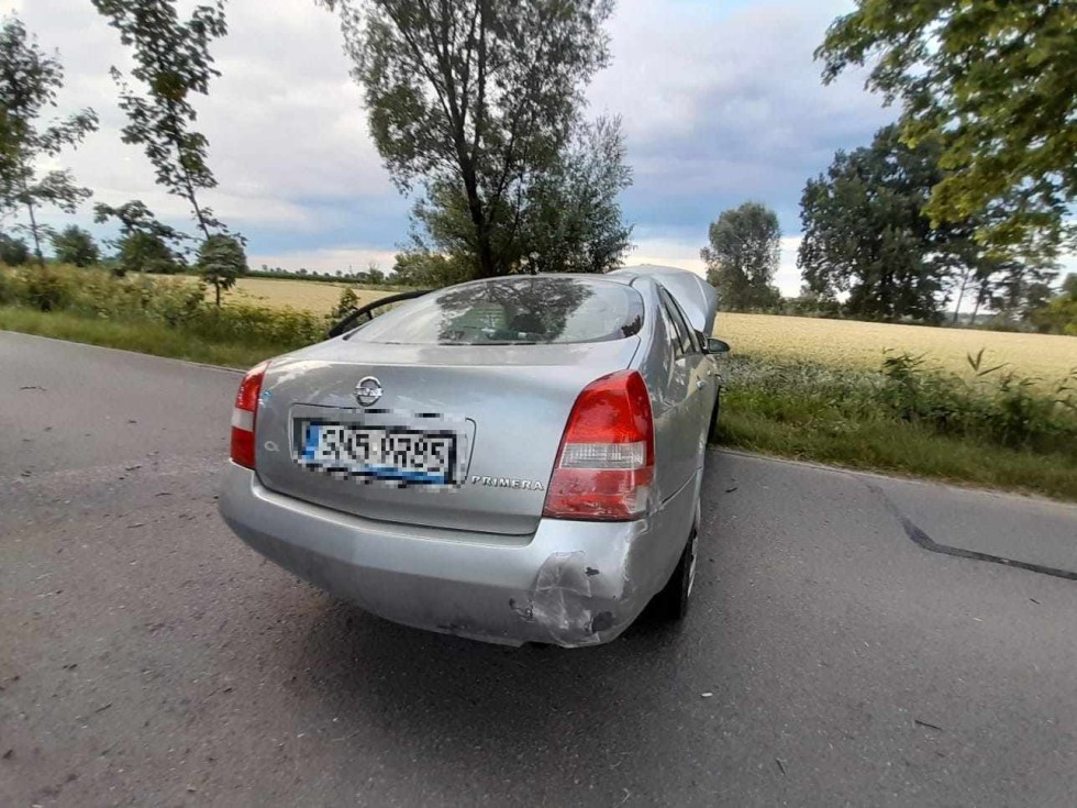Gmina Stare Pole. Pijany kierowca uderzył w drzewo i uciekł z miejsca zdarzenia.
