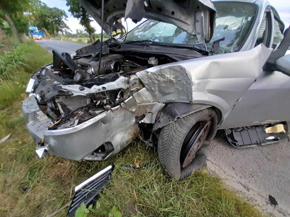 Gmina Stare Pole. Pijany kierowca uderzył w drzewo i uciekł z miejsca zdarzenia.