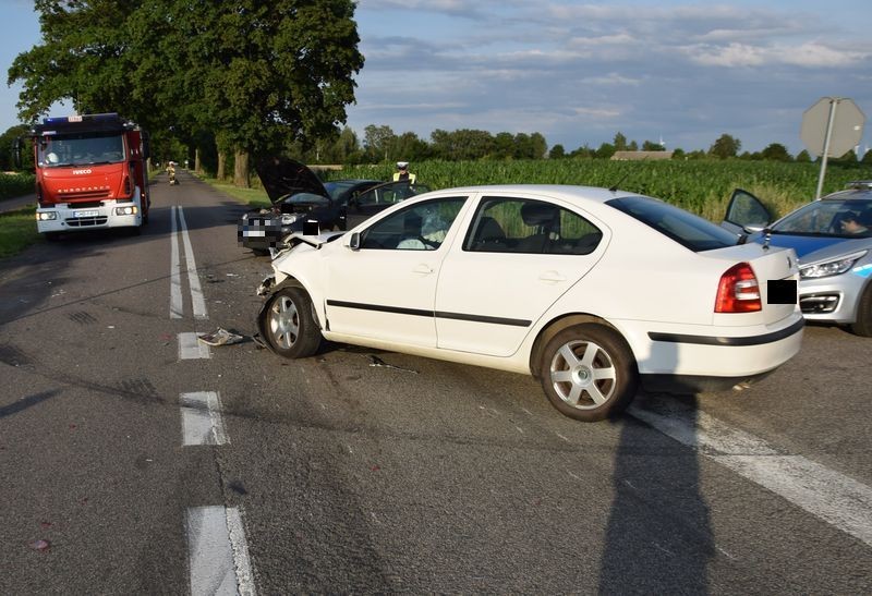 Gmina Nowy Staw. Policja podała przyczynę czwartkowego wypadku w Trępnowach.