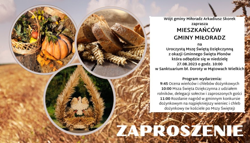 Gmina Miłoradz. Zaproszenie na uroczystą mszę świętą dożynkową.
